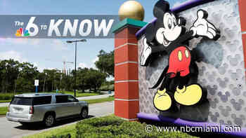 6 to Know: Disney Employees Among Those Arrested in Florida Human Trafficking Bust