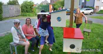 Buurtcomités Lokeren-Zuid organiseren buurtwandeling | Lokeren | hln.be - Het Laatste Nieuws