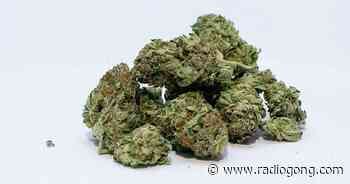 A3 / Marktheidenfeld: Fahnder stellen ein Kilo… - 106,9 Radio Gong