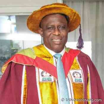 Why waste continues to dot Ibadan medians, roadsides ― Oyo College provost - Tribune Online