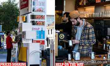 Budget 2022: Scott Morrison considers one-off Centrelink cash handouts before election - Daily Mail