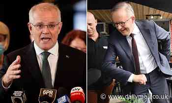Scott Morrison slams Anthony Albanese over missing lines in his CV - Daily Mail