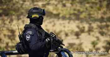 Aseguran cartuchería, cargadores y droga en domicilio de Fresnillo - NTR Zacatecas .com