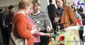 Seniorenatelier organiseert jaarlijkse expo in wzc Lichtenberg - Het Laatste Nieuws