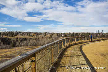 Parks Foundation fundraising for Calgary overlook named after founding director - LiveWire Calgary