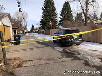 Calgary police investigate brazen shooting in Braeside | CTV News - CTV News Calgary