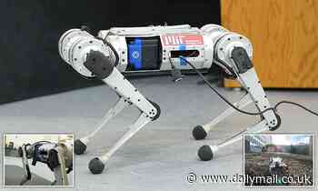 'Virtually indestructible' four-legged robotic cheetah can run at speeds of up to 9mph