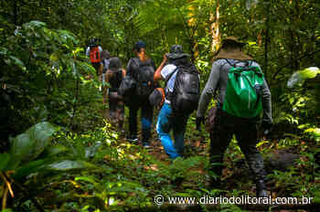 Ecoturismo: confira opções de passeios em meio à natureza em Bertioga - Diário do Litoral