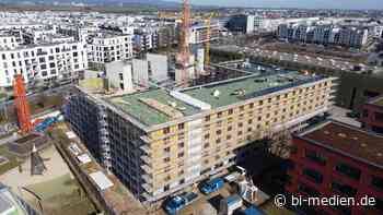 Preisentwicklung am Bau: Kosten für Holz, Stahl und Bitumen klettern auf Rekordhöhe - B_I baumagazin