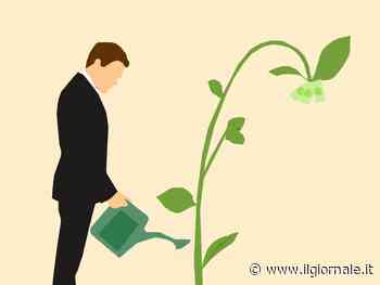 Niente burocrazia per i bilanci "verdi": la direttiva Ue risparmia le PMI