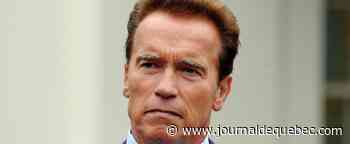 Schwarzenegger dit «la vérité» aux Russes et demande que Poutine cesse la guerre