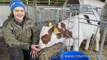 Junge Prienerin bringt Hofleben ins Netz