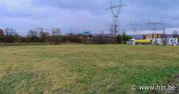 Geen concrete inschrijving, dus verlengt gemeente inschrijvingsperiode erfpachtoproep bedrijventerrein Erasmuslaan - Het Laatste Nieuws