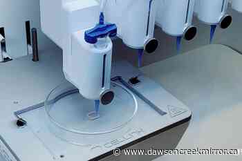 B.C. scientists discover how to 3D print testicular cells, offer infertile couples hope - Dawson Creek Mirror