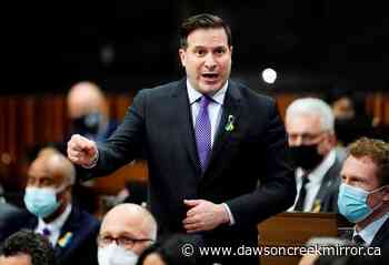 Liberal government extends amnesty on 'assault-style' firearms until 2023 - Dawson Creek Mirror