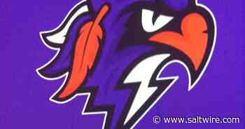 Halifax Thunderbirds acquire forward Dawson Theede - Saltwire