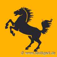 Digitale Vortragsreihe zu erfolgreichem Online-Marketing | Landeshauptstadt Stuttgart - Landeshauptstadt Stuttgart