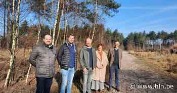 Lille engageert maatwerkbedrijf A-Kwadraat voor bos- en natuurbeheer - Het Laatste Nieuws