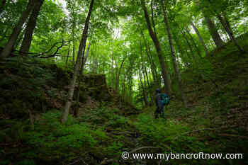 Hastings Wildlife Junction receives major government funding