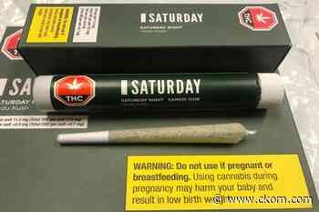 Canadian cannabis laws will be tested in Saskatchewan, says lawyer - CKOM News Talk Sports