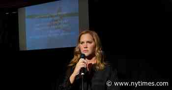 ‘Life & Beth’ Review: Further Inside Amy Schumer