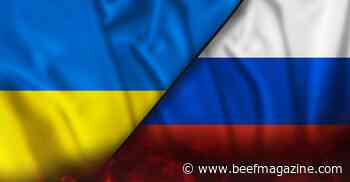 Ukraine-Russia: Implications on cattle market