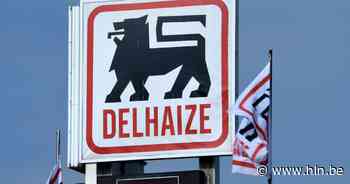 Wit-Russen op dievenpad: “Eten in opvangcentrum beviel me niet” - Het Laatste Nieuws