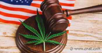 Marijuana Legalization: Which States Is Weed Legal In?     - CNET