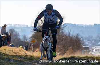 Zughundesport in Renningen: Zwei- und Vierbeiner haben Spaß - Leonberger Kreiszeitung - Leonberger Kreiszeitung