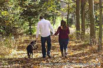 Hundesteuer in Renningen: Hundehalter werden zur Kasse gebeten - Leonberger Kreiszeitung - Leonberger Kreiszeitung