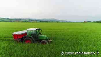 Upa Siena: guerra e agricoltura, focus online con Paolo De Castro - RadioSienaTv