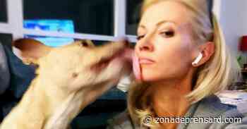 ¿Qué pasó con el perro de Sarma Melngailis, Leon? - Inicio - zonadeprensard.com