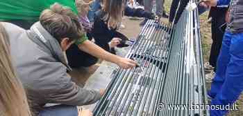 MONCALIERI - Inaugurata una panchina lilla per la giornata nazionale contro i disturbi alimentare - TorinoSud