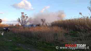 Incendio lungo i binari a Termoli: sospesa la circolazione dei treni verso la Puglia - FoggiaToday