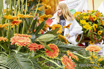 Sélection régionale du Meilleur Apprenti de France Fleuriste - Epinal infos - Epinal Infos