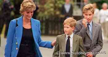 Netflix series The Crown seeks actors to portray William and Harry - Hull Live