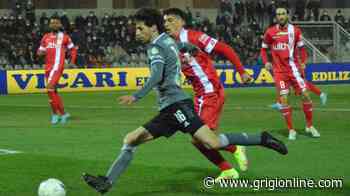 Il sondaggio GOL: Fabbrini migliore in campo di Alessandria-Monza - GrigiOnLine