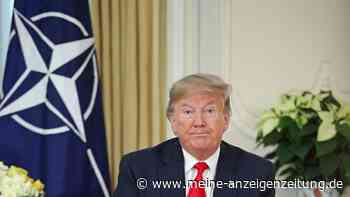 Ukraine-Krieg: Donald Trump Jr. mit seltsamem Nato-Vorschlag
