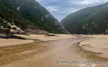 The Otter Trail: A 'lonely crowded walk' - Daily Maverick