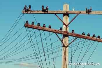 Planned outages in Fort Nelson to affect approximately 228 BC Hydro customers - Energeticcity.ca