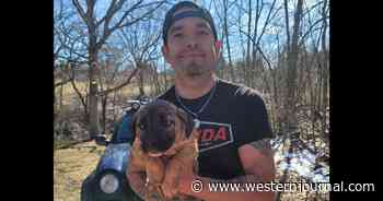 Puppy Tumbles 100 Feet Down Ravine, Rescuers Can't Reach It Until Veteran Arrives