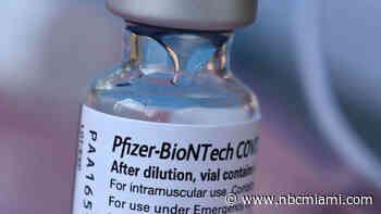Pfizer Asks US to Allow 4th COVID Vaccine Dose for Seniors