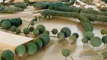 CO2-Emissionen verringern: Schenefeld will eine Klima-Managerin einstellen | shz.de - shz.de