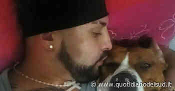 Come Dora, donna scaravantata dalla finestra a Melfi. Fermato l'uomo che era con lei a cena - Quotidiano del Sud