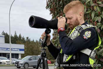Enforcement of distracted driving dialled up on Saanich Peninsula – Saanich News - Saanich News