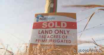 Alberta sees lowest average increase in farmland value: Farm Credit Canada