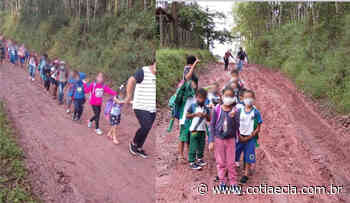 Crianças vão a pé para escola em Cotia após van não conseguir acessar estrada de barro - Cotia e Cia