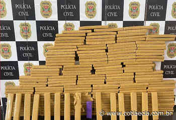 Homem é preso em Cotia por armazenar 167,5 kg de maconha em estábulo - Cotia e Cia