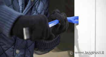 “Topi d'appartamento”: 5 furti in una notte - LeggiNoci.it