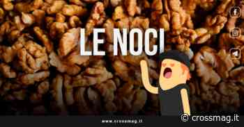 Noci: benefici e valori nutrizionali - CrossMag